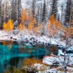 5c774c9a7e80b7b3cc0b850890025854