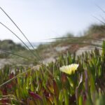 d0ca61abfbde5bf29d6337a5033e2f50