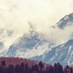 5bbdae0cd40c7f24a5e288eaf24d1ee0