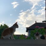 606b4c2df302fb5fb5a3e8afde5e196f