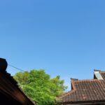 d17162288d39a1a3f37b6f964eaebdc2