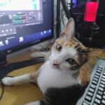 242ad31692d7111eb3b6dd9a2b1511f3