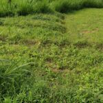 9eeefcf500109b2ca7118a97d6555b3c